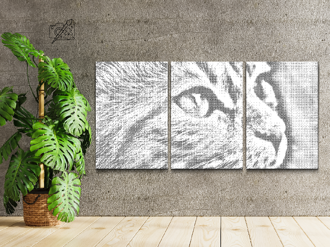 Cute Kitten (set of 3) - Dottingo