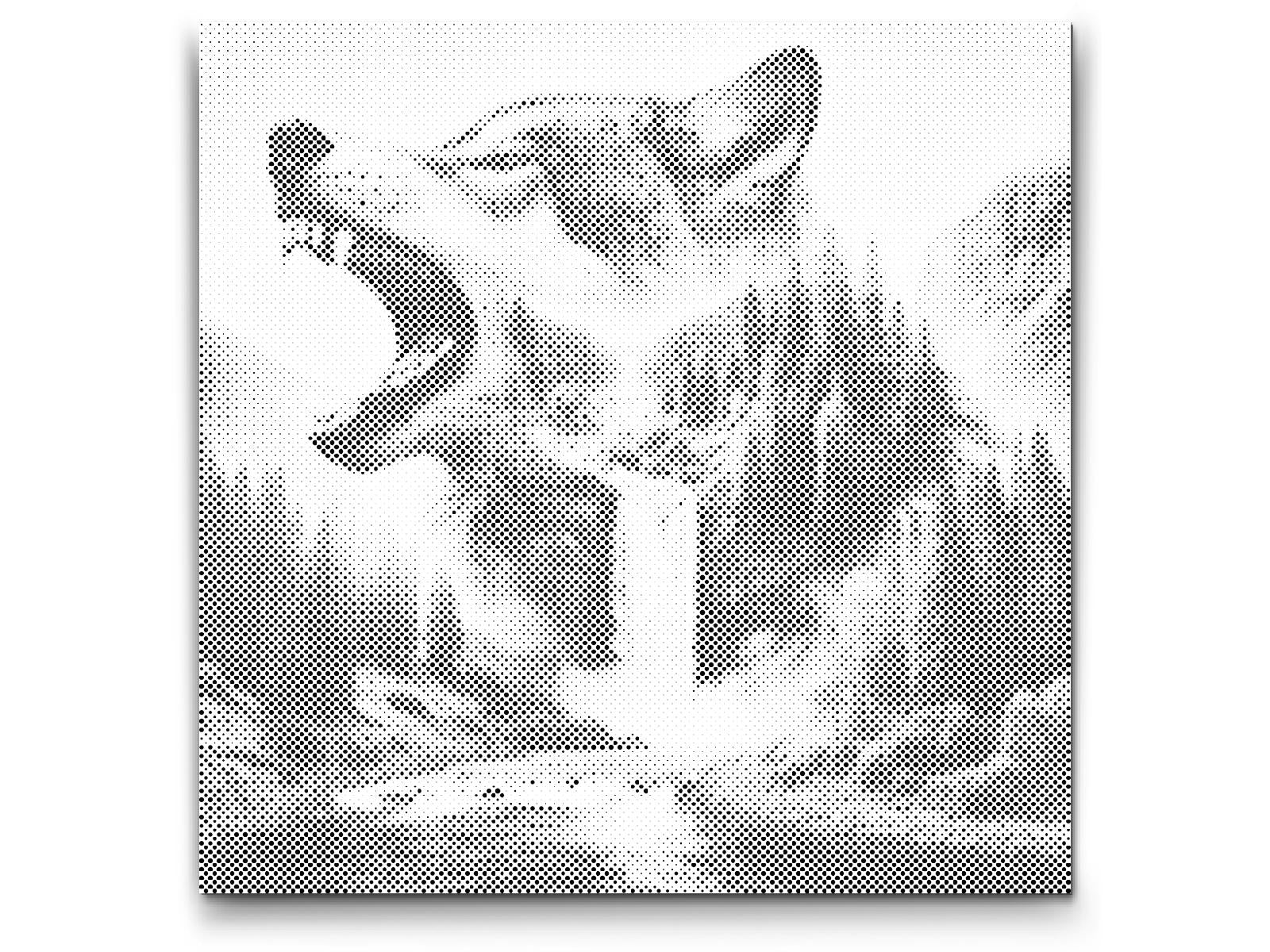 Wolf waterfall - Dottingo