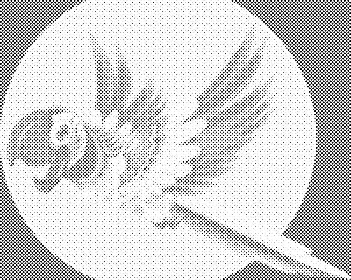 Cheerful Parrot - Dottingo