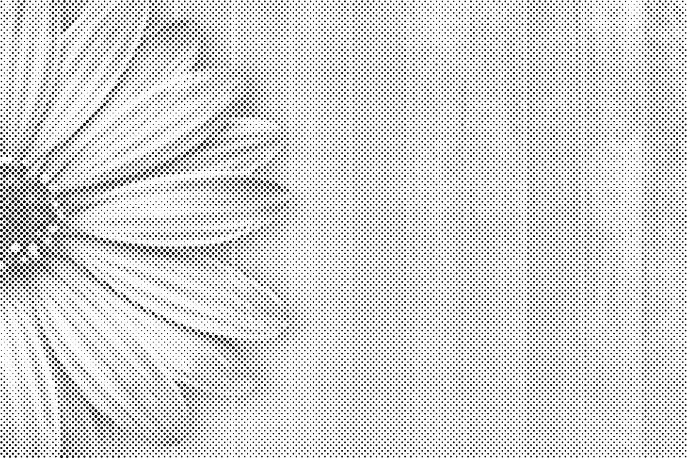 Purple Gerbera - Dottingo