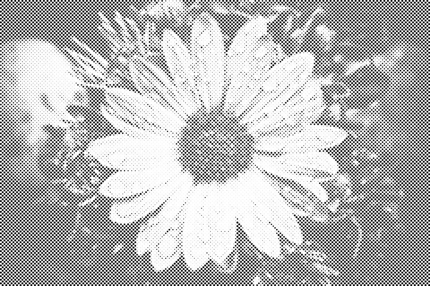 Drops on Flower - Dottingo