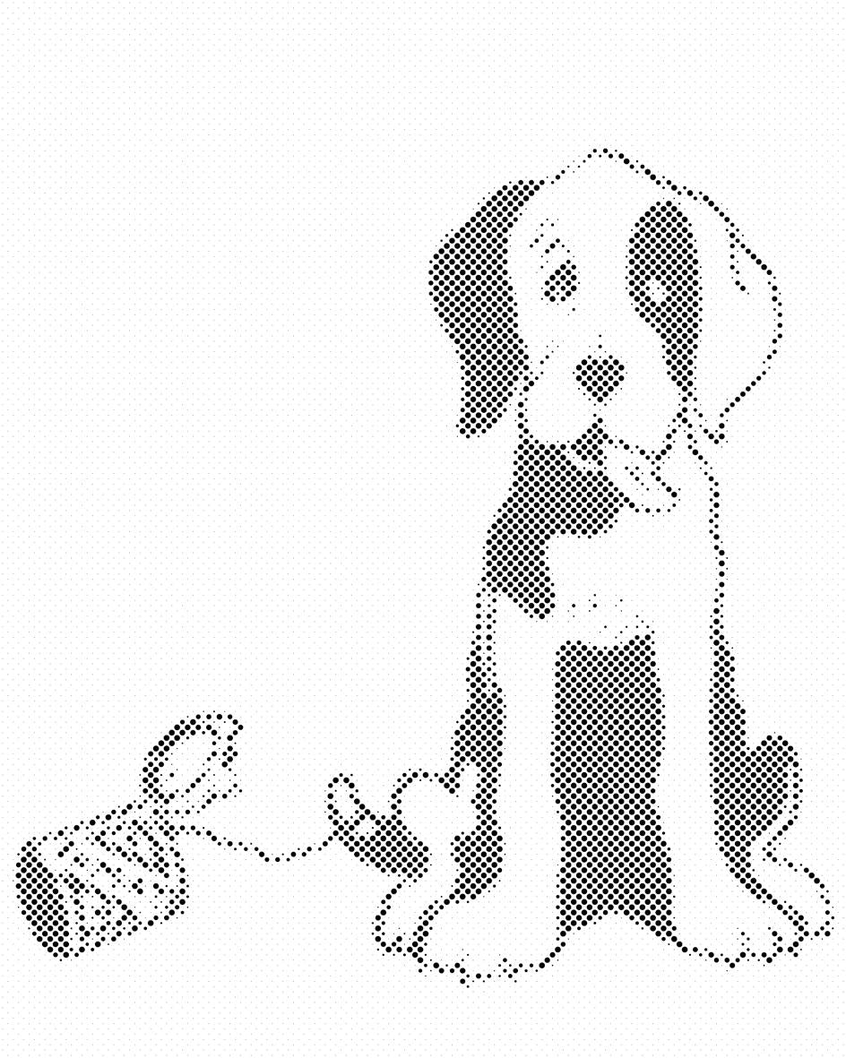B/W Dog - Dottingo