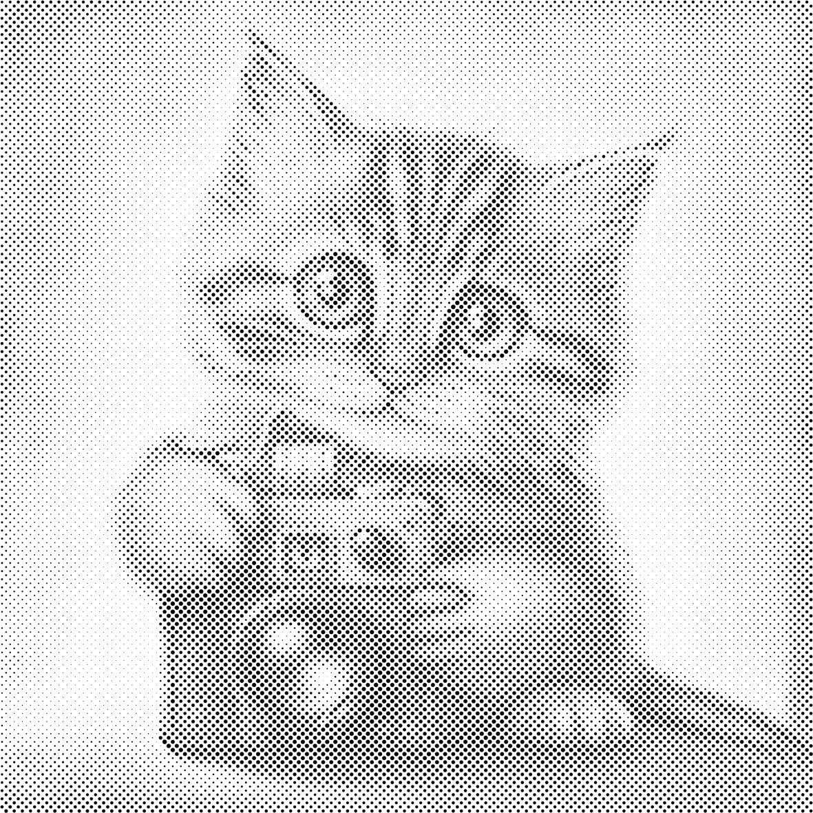 Kitten with a Camera - Dottingo