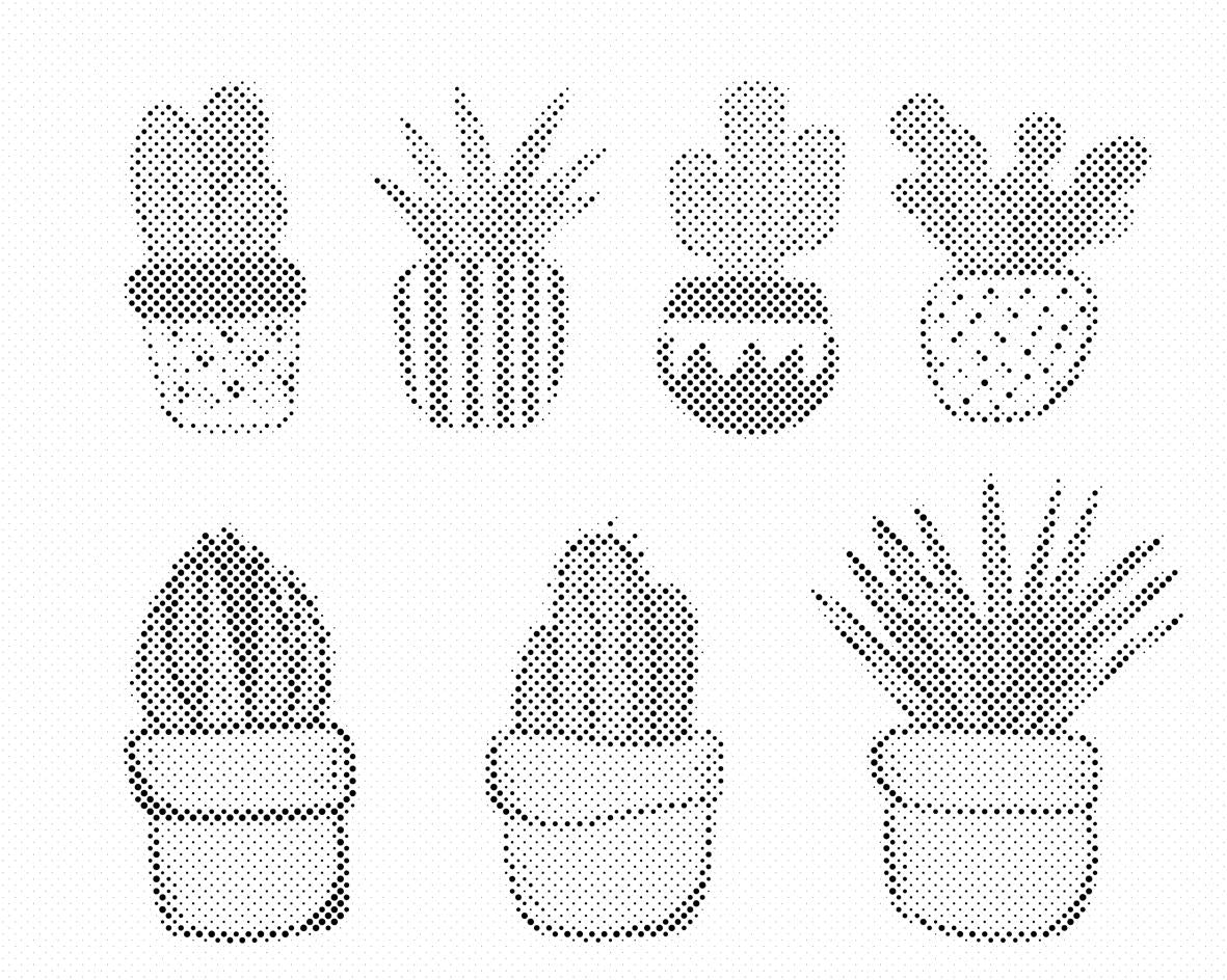 Cacti - Dottingo