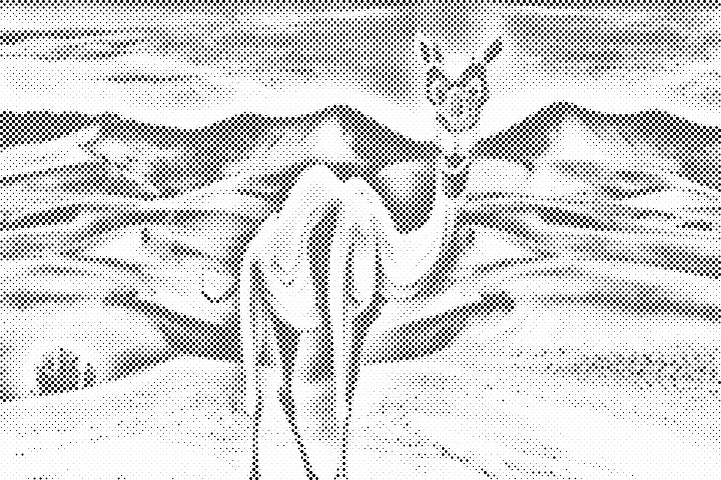 Camel in the Desert - Dottingo