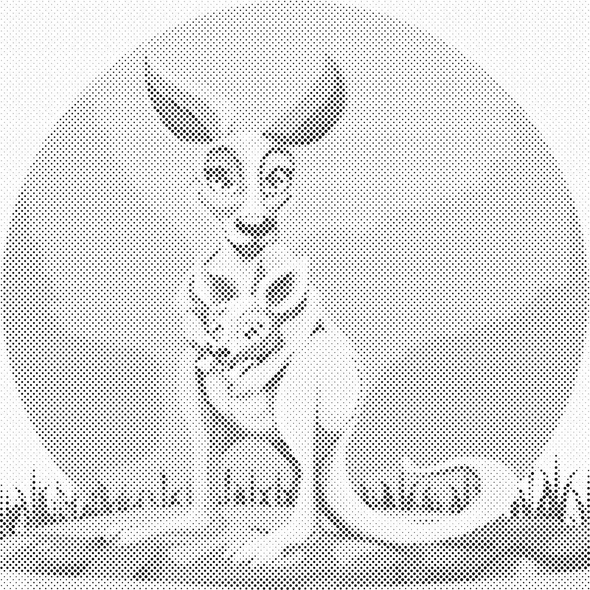Kangaroo with Cub - Dottingo