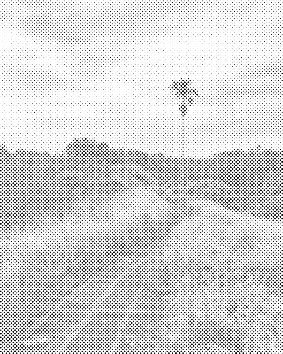 Bali Rice Walk - Dottingo