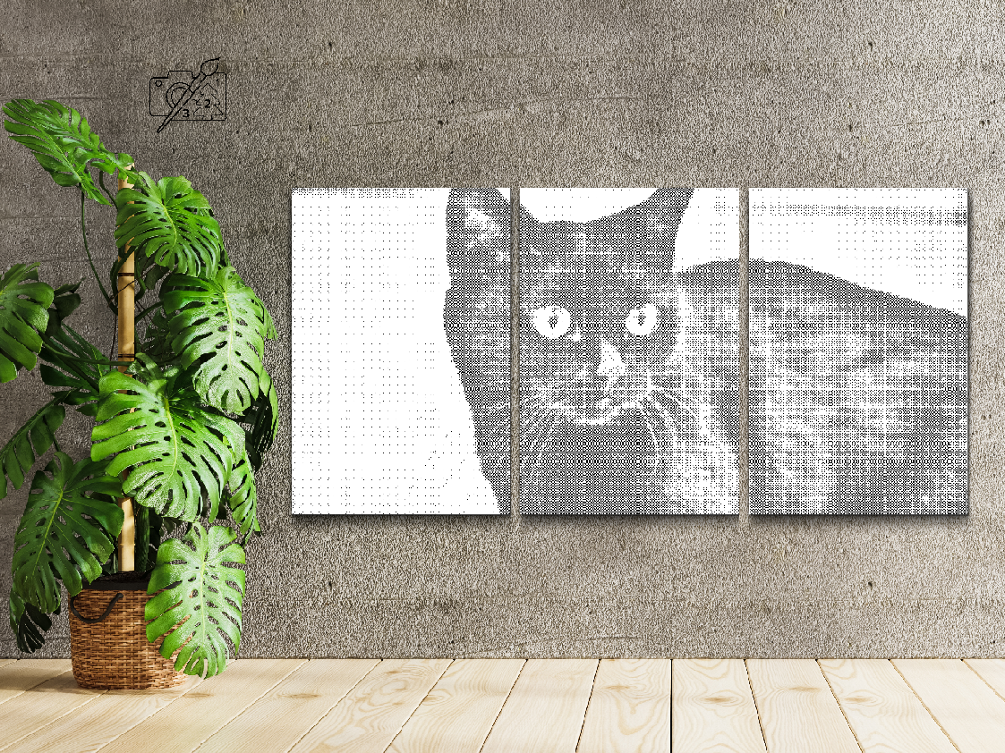 Wild Black Cat (set of 3) - Dottingo