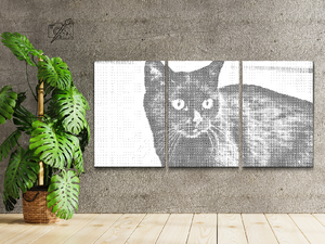 Wild Black Cat (set of 3) - Dottingo