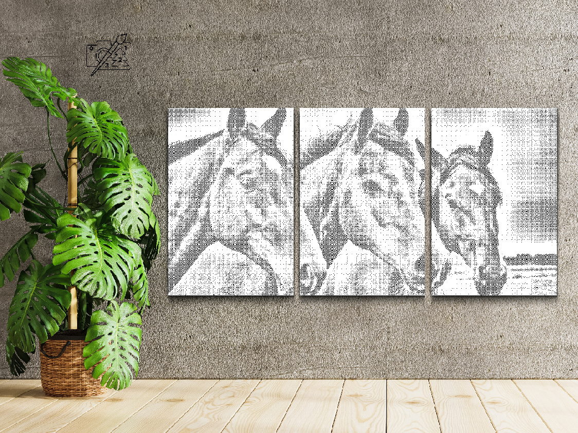 The Three Horses (set of 3) - Dottingo