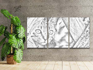 Watchful Kitten (set of 3) - Dottingo
