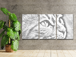 Cute Kitten (set of 3) - Dottingo