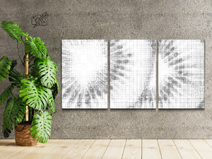 Kiwi background (set of 3) - Dottingo