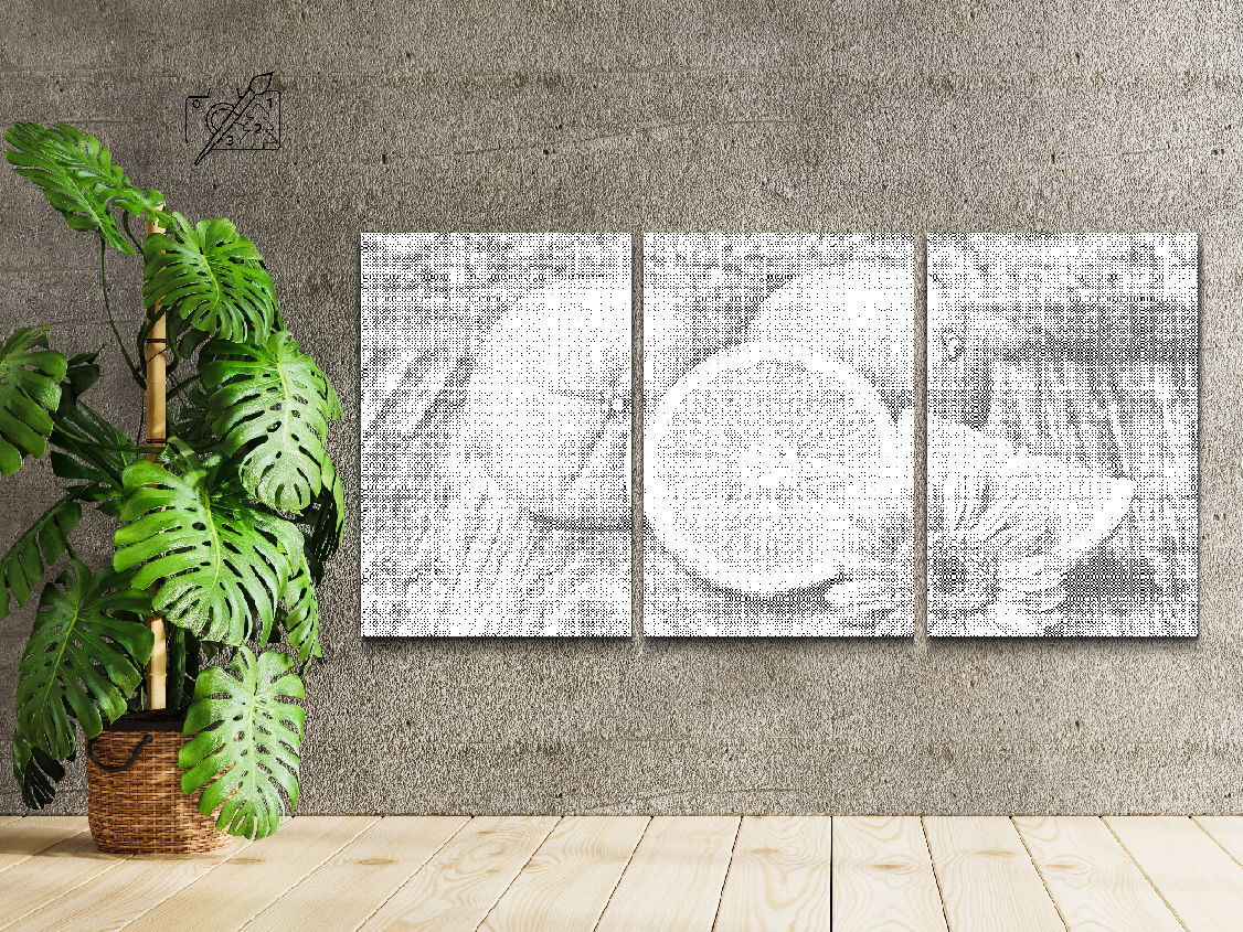 Citrus fruits, orange (set of 3) - Dottingo