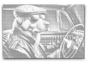 A dog in a Black Convertible - Dottingo