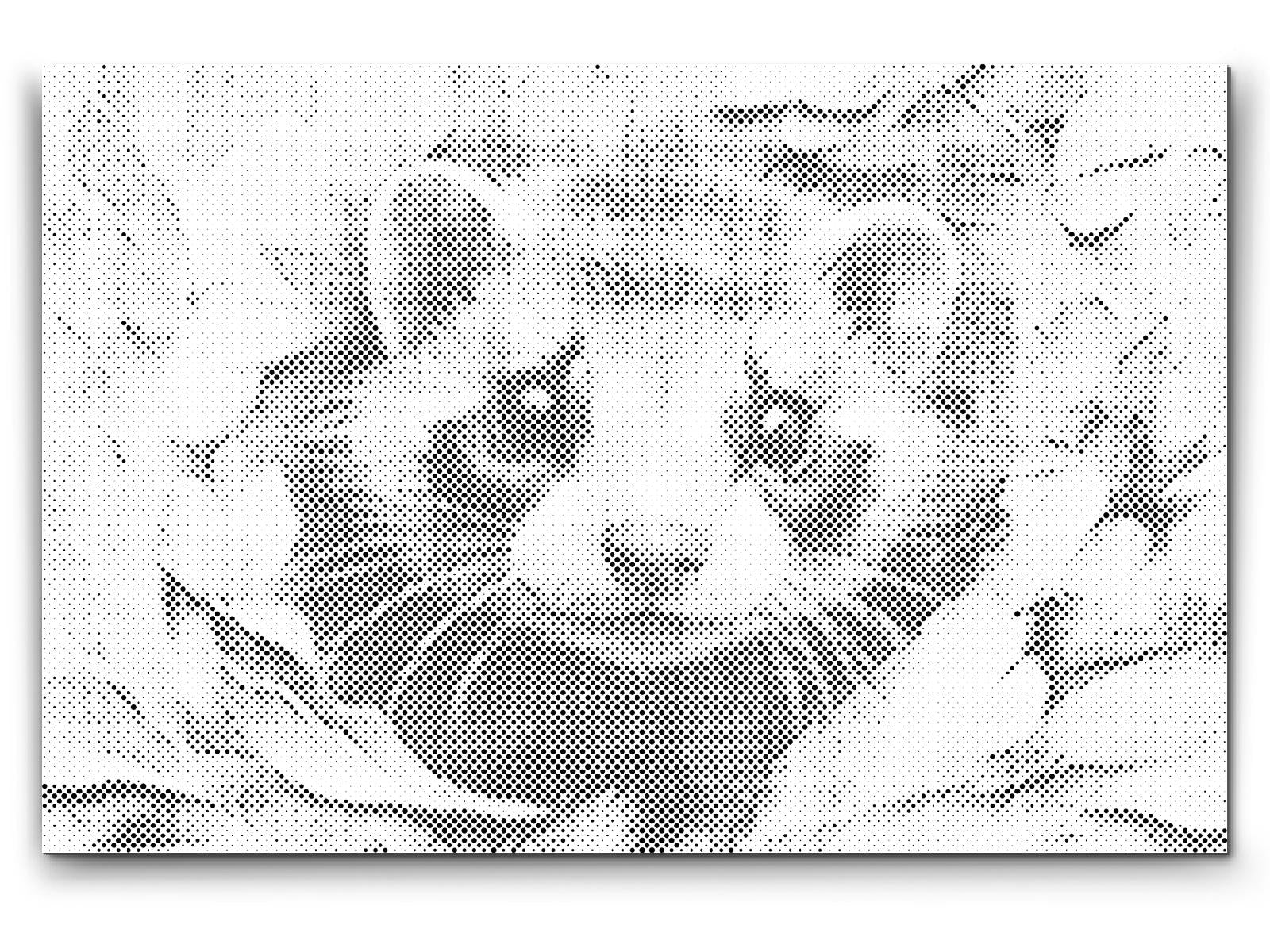 Cheerful Ferret - Dottingo