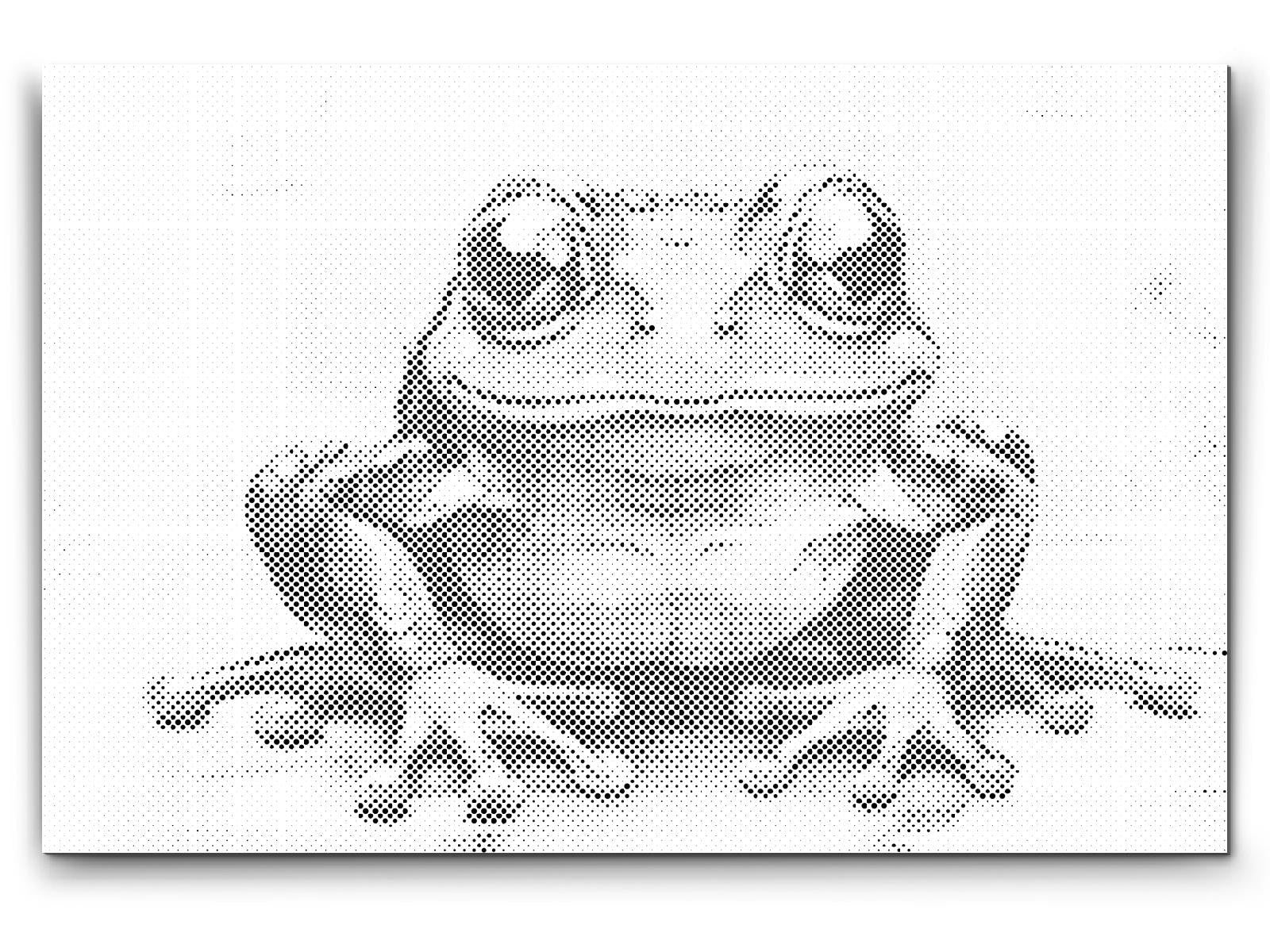 Cheerful Frog - Dottingo