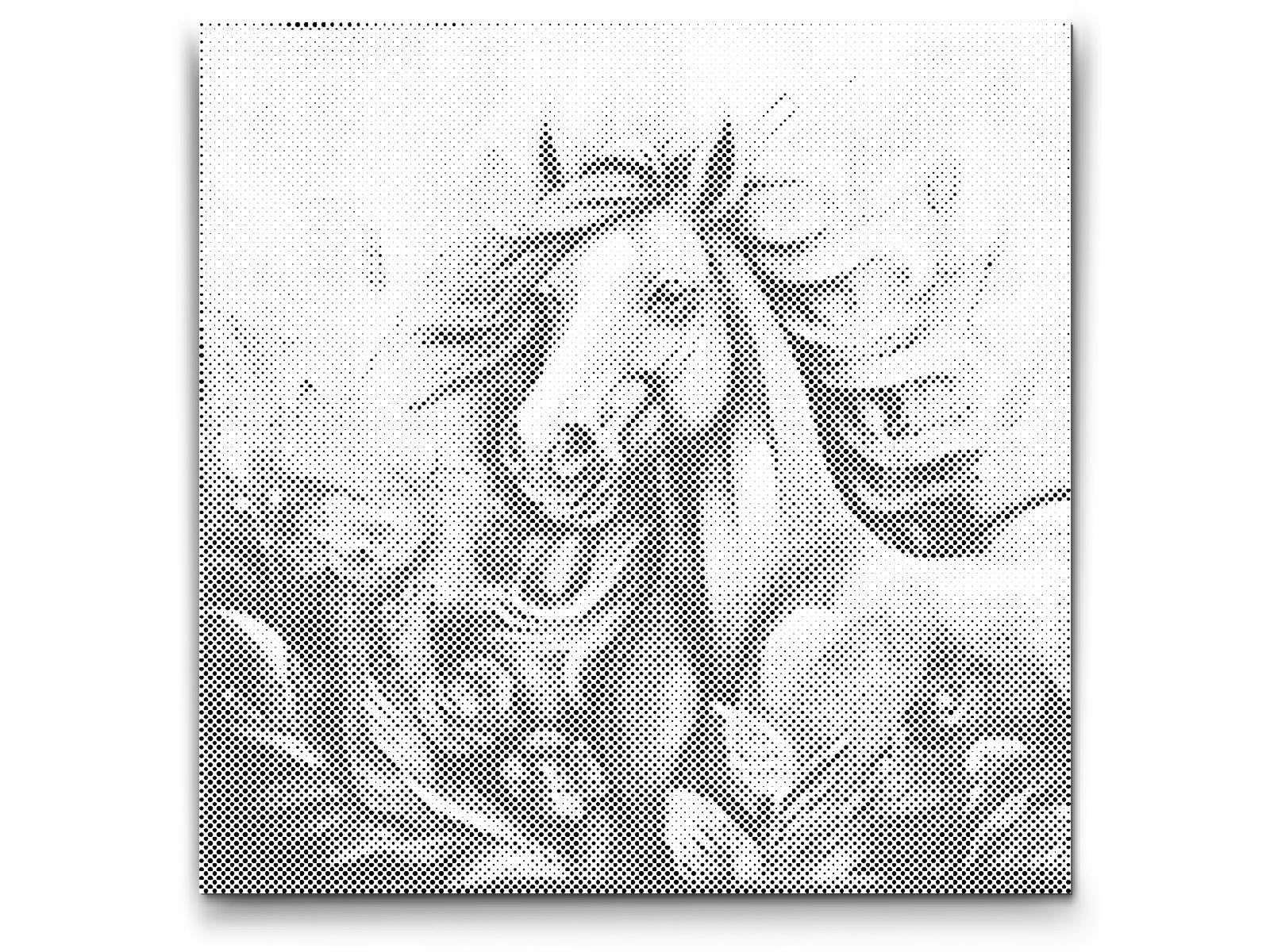 Cheerful Horse - Dottingo