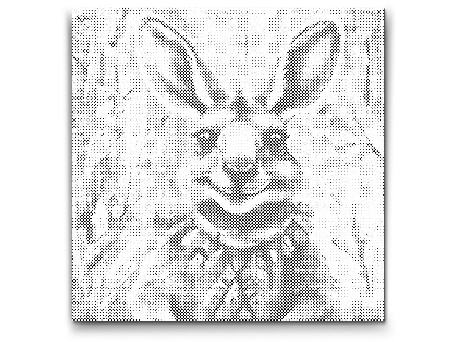 Cheerful kangaroo - Dottingo