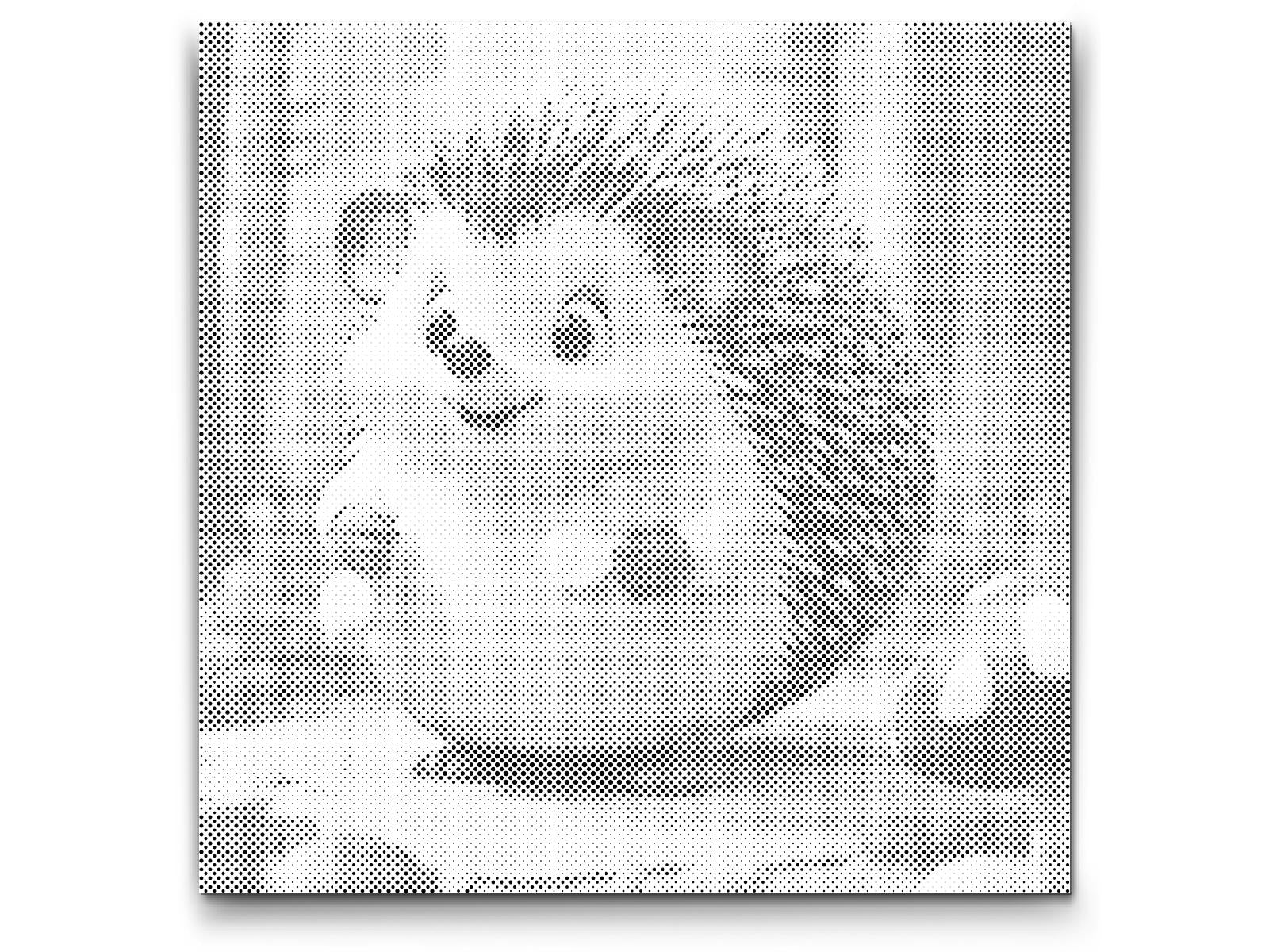 Cute Hadgehog - Dottingo