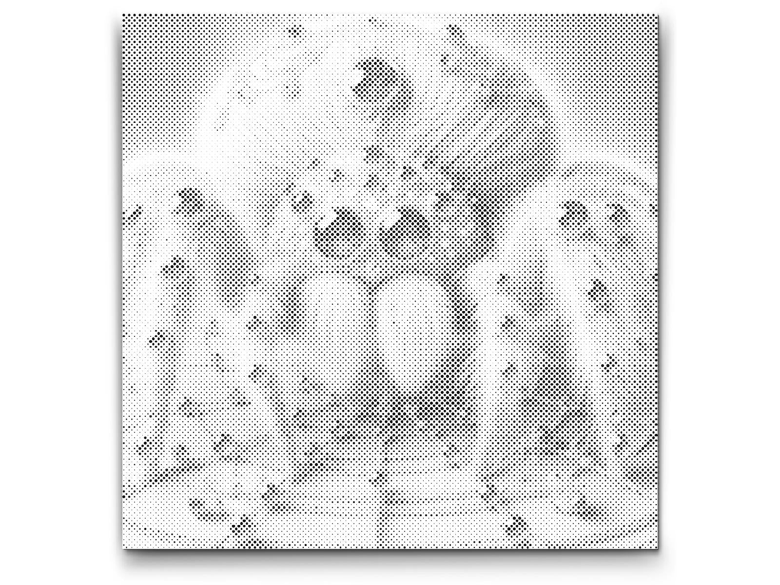 Briliant Spider - Dottingo