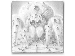 Briliant Spider - Dottingo