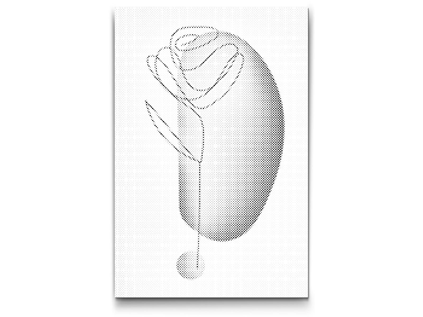 Decorative Rose - Dottingo