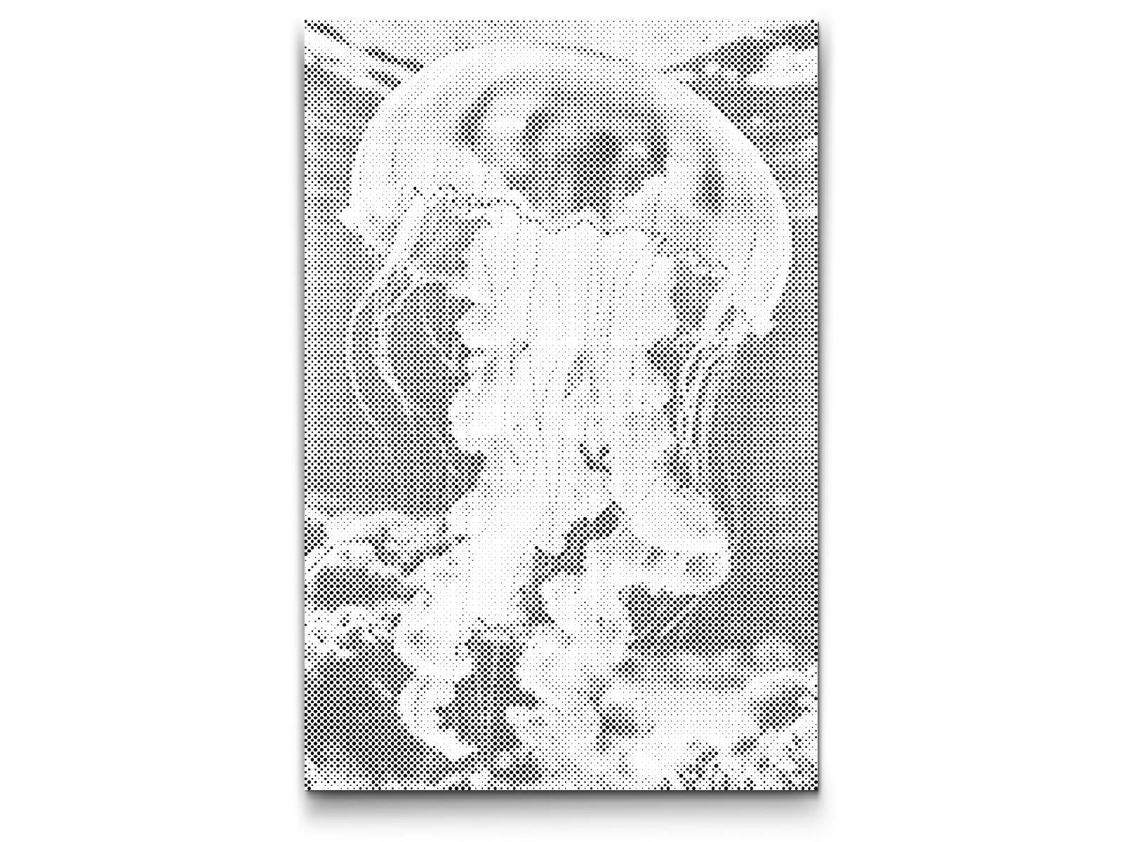 Jellyfish in the sea - Dottingo