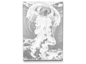 Jellyfish in the sea - Dottingo