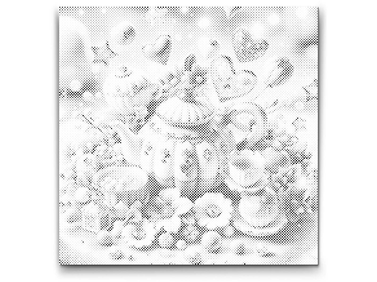 Magic Dish set - Dottingo