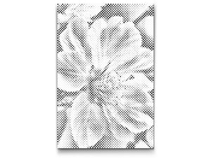 Cherry blossom - Dottingo