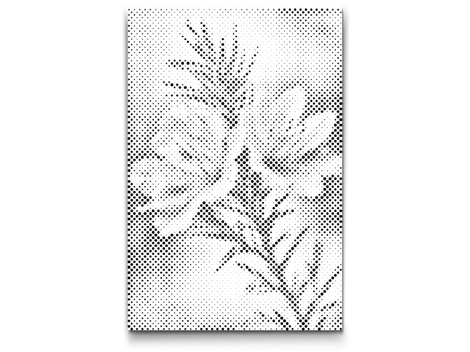 Rosemary flower - Dottingo