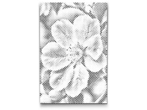 Apple blossom - Dottingo