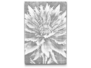 Cornflower flower - Dottingo