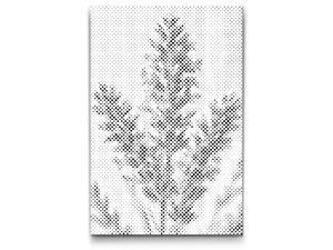 Lavender flower - Dottingo