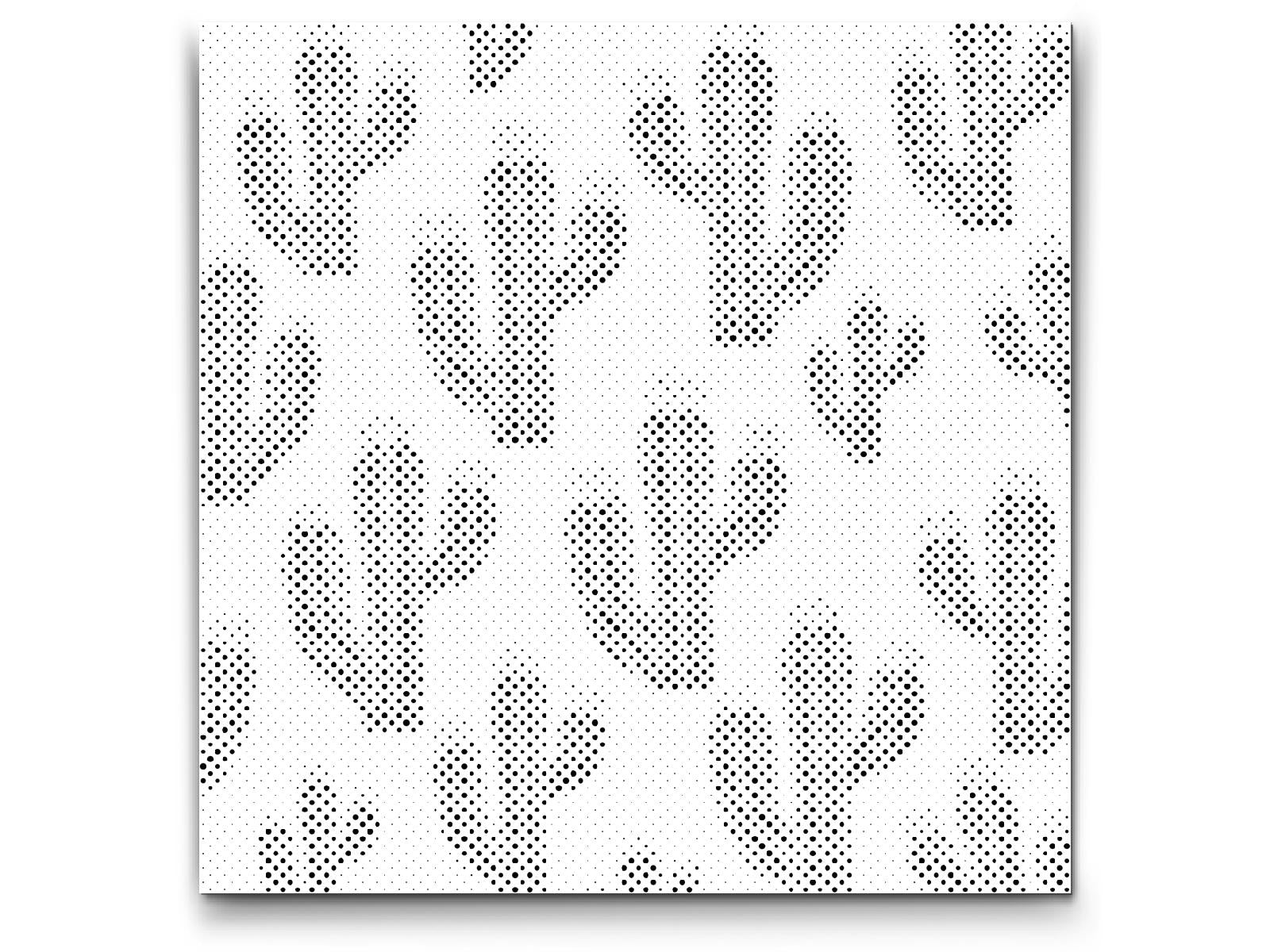 Cacti in bloom - Dottingo