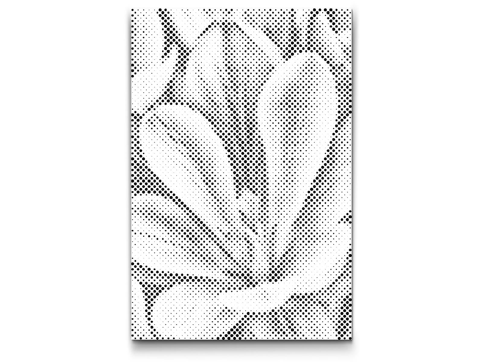 Crocus flower - Dottingo