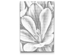 Crocus flower - Dottingo