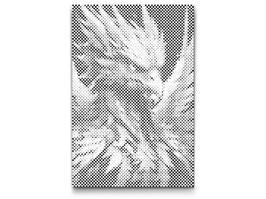 Colourful phoenix - Dottingo
