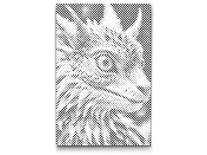 Baby dragon - Dottingo