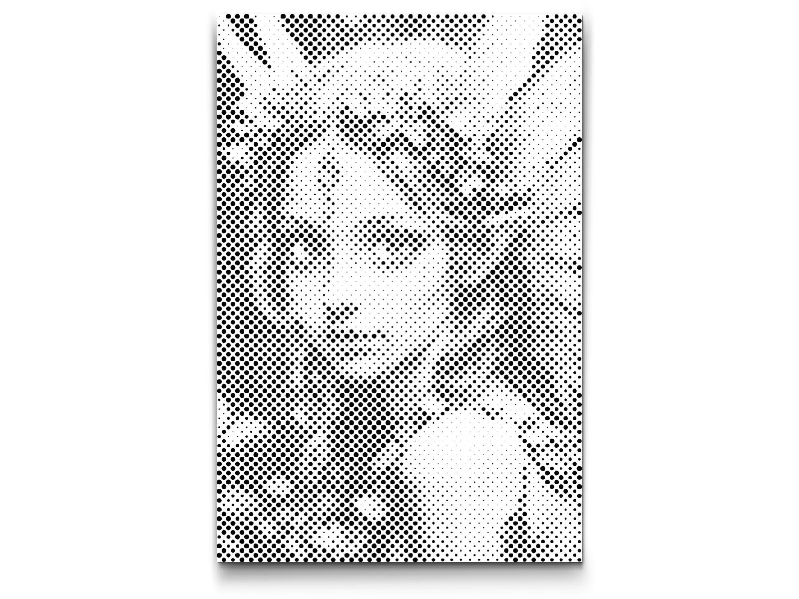 Fairy from the enchanted forest - Dottingo