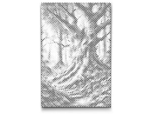Fairytale forest - Dottingo
