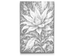 Magical flower - Dottingo