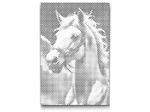 White Pegasus in the clouds - Dottingo