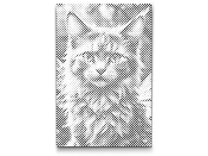 Magical winged cat - Dottingo