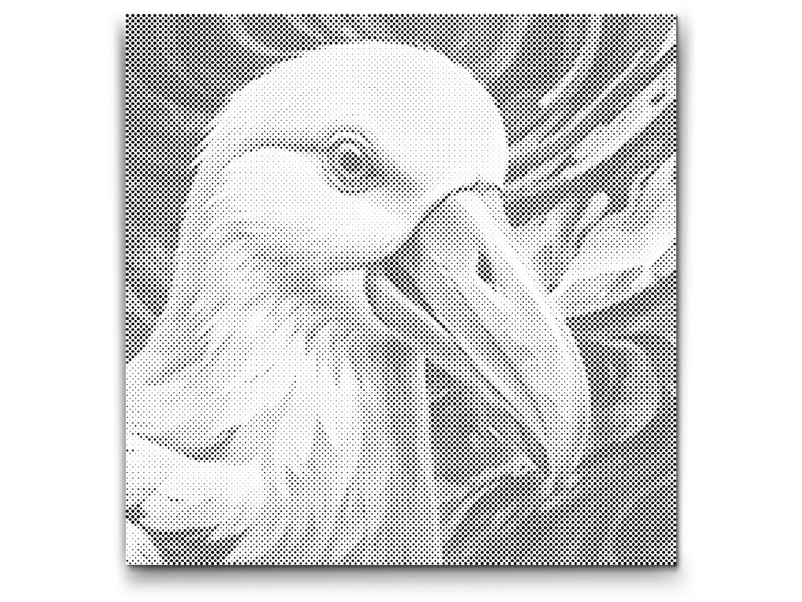 Albatross in shades of red and blue - Dottingo
