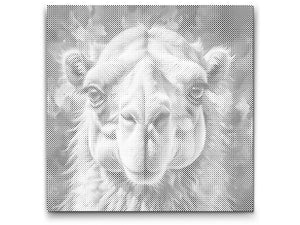 Camel in shades of red and blue - Dottingo