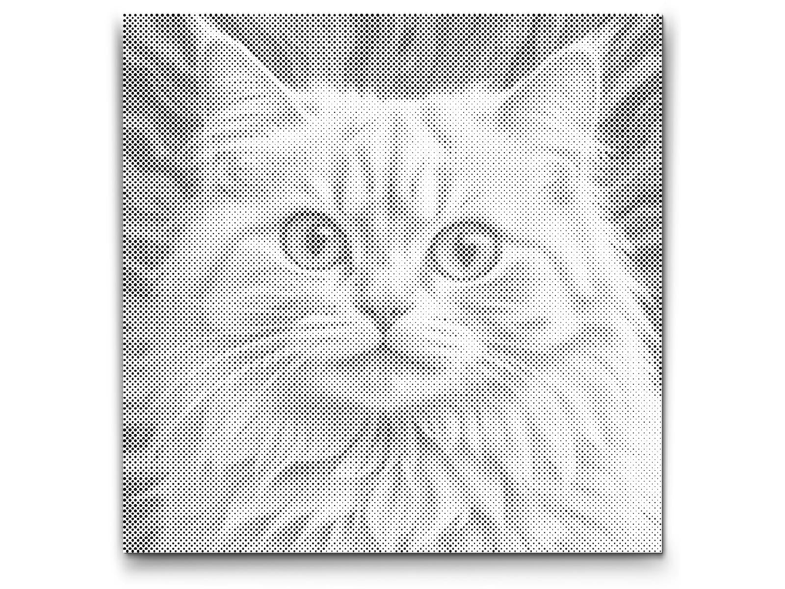 Cat in shades of pink - Dottingo