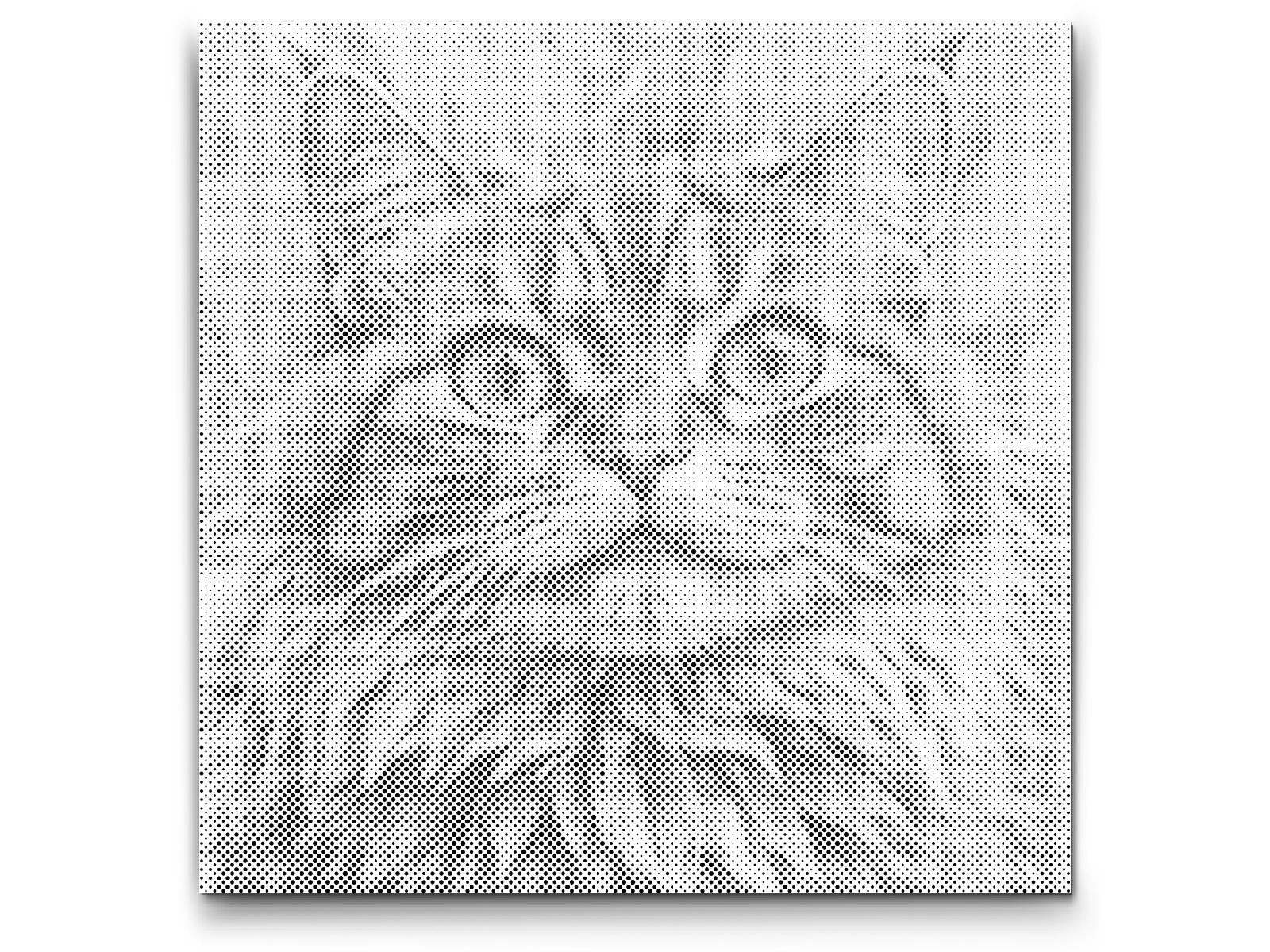 Cat in shades of turquoise and orange - Dottingo
