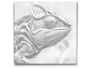 Chameleon in shades of pink - Dottingo